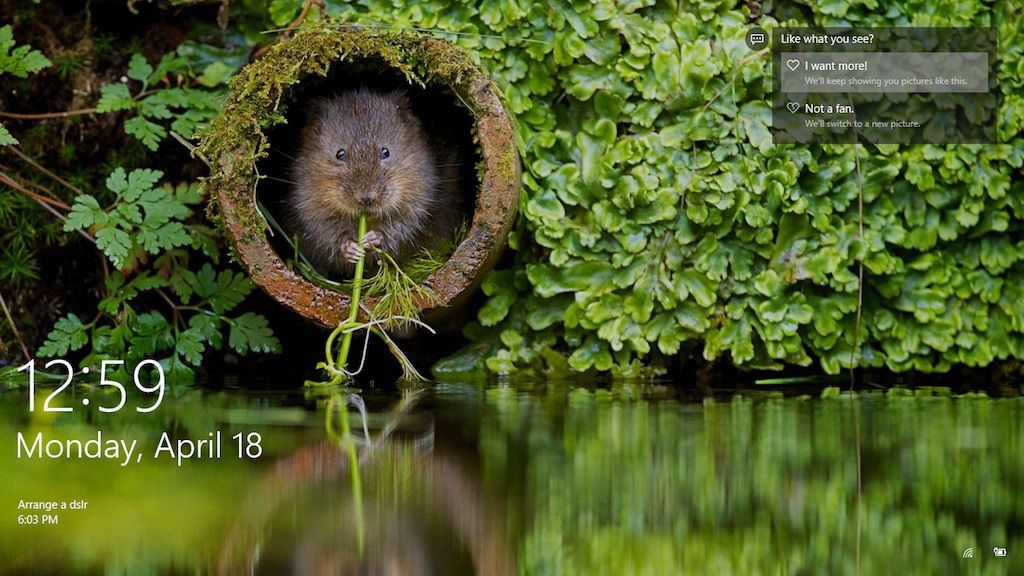 Ako si uložiť obrázky z uzamykacej obrazovky Windows?