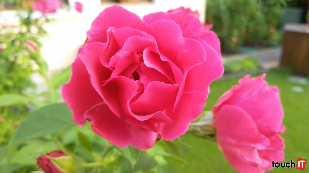 Pôvodný obrázok, v ktorom je mierne zliata červená farba v lupeňoch ruží