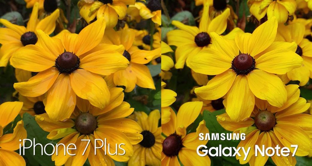 VIDEO: Porovnanie fotoaparátov iPhone 7 Plus a Samsung Galaxy Note 7