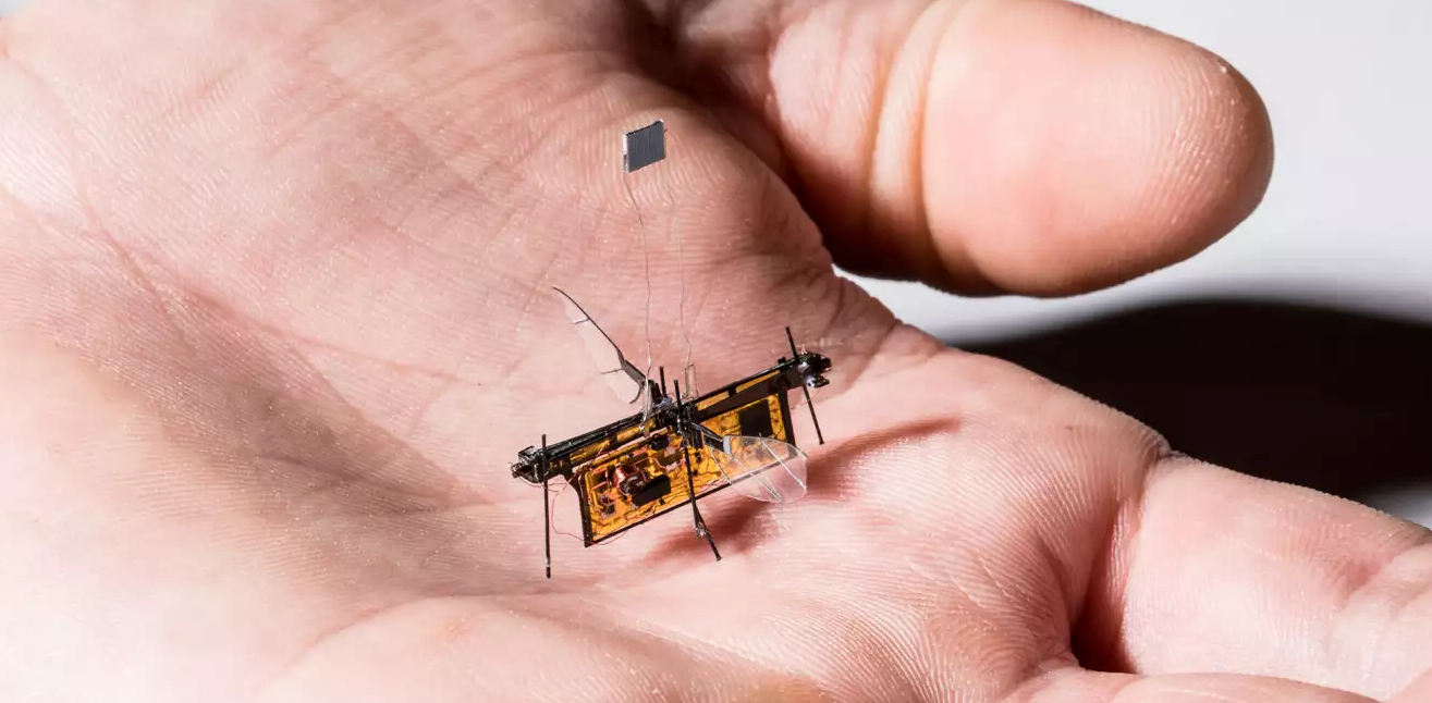 Robotický hmyz sa učí lietať. Vedci vyvinuli revolučnú technológiu