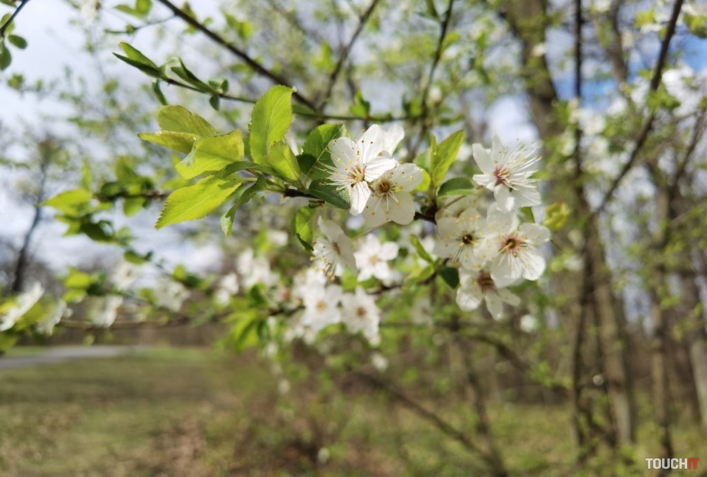 Odfotené s Huawei P40 Pro