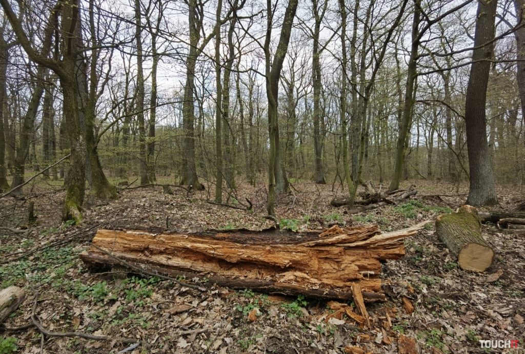 Odfotené s Huawei P40 Pro