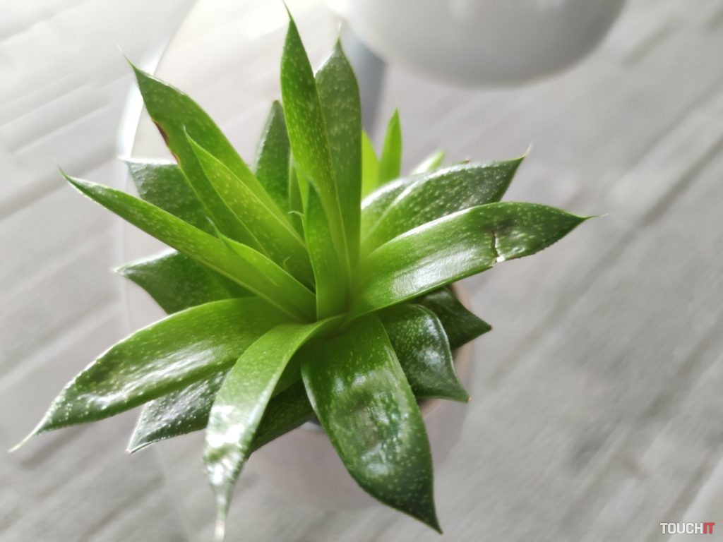 xiaomi mi 10 test photo