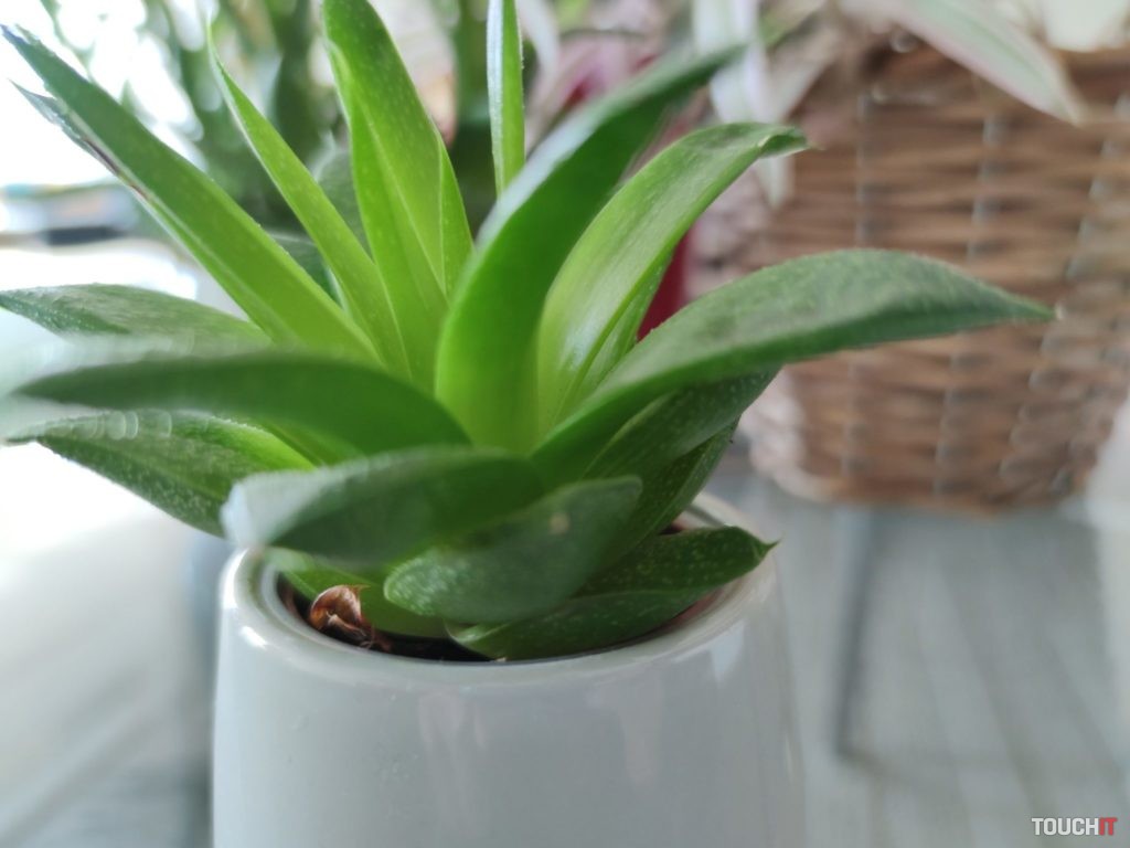 xiaomi mi 10 test photo