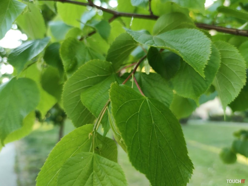 xiaomi mi 10 test photo