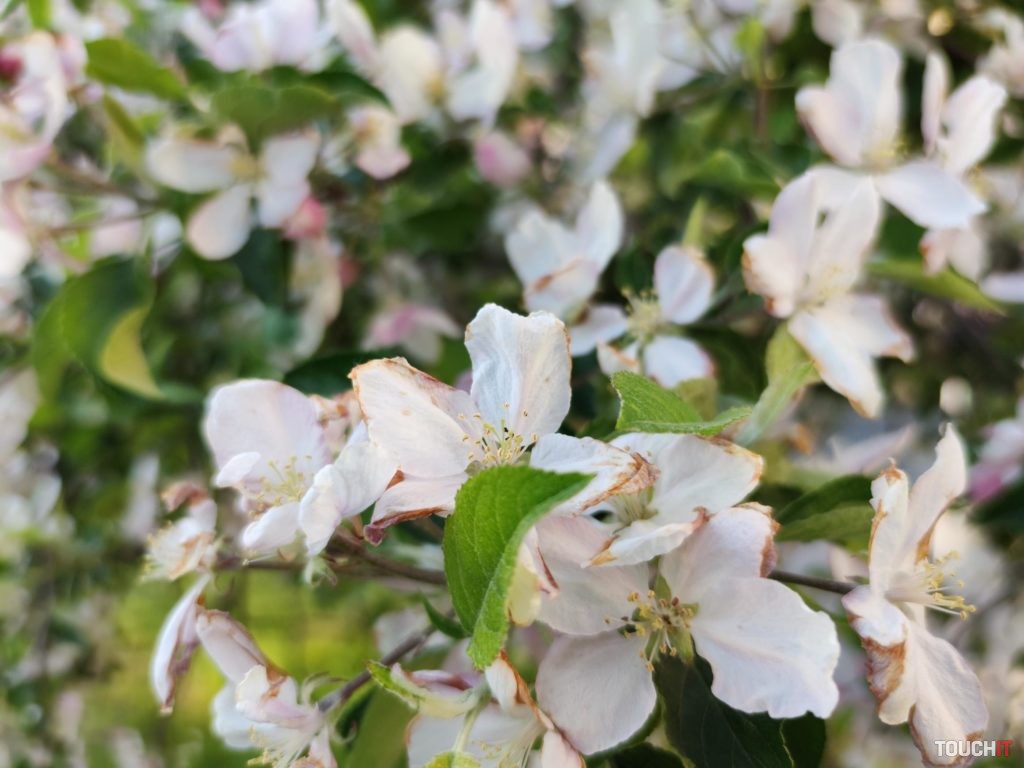 xiaomi mi 10 test photo