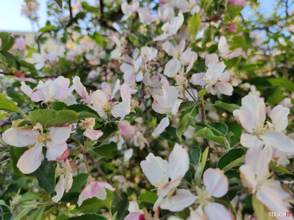 xiaomi mi 10 test photo