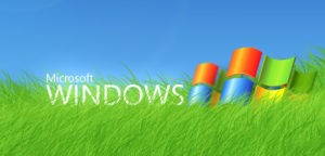 windows wallpaper