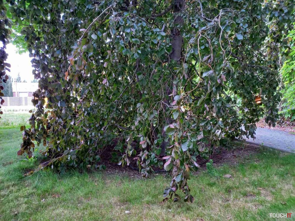 samsung galaxy a41 test photo