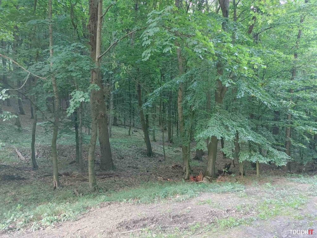 lg velvet test photo