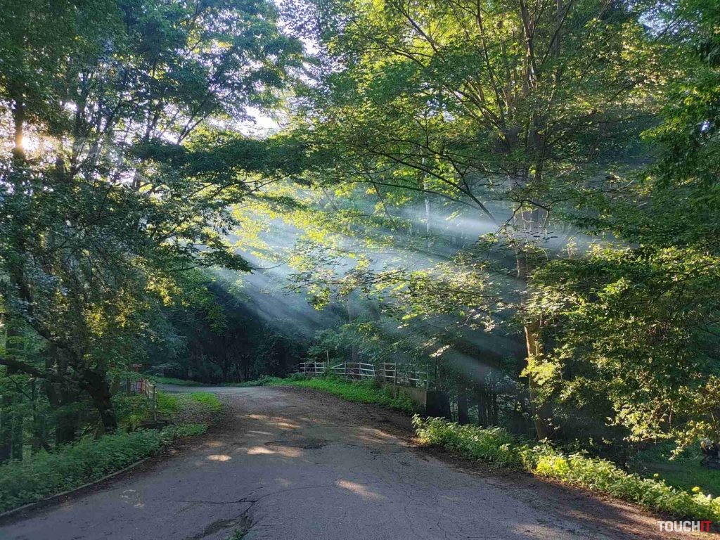 lg velvet test photo