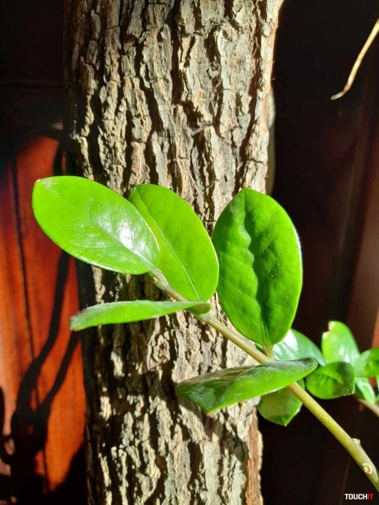 Samsung Galaxy A21s recenzia