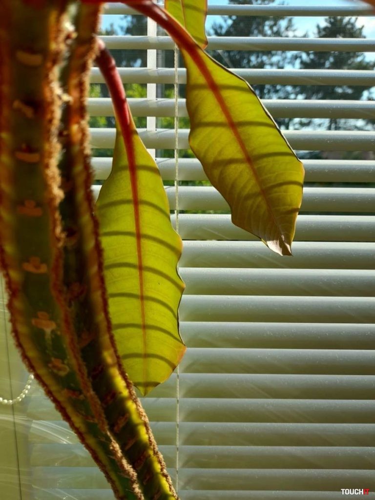 Samsung Galaxy A21s recenzia