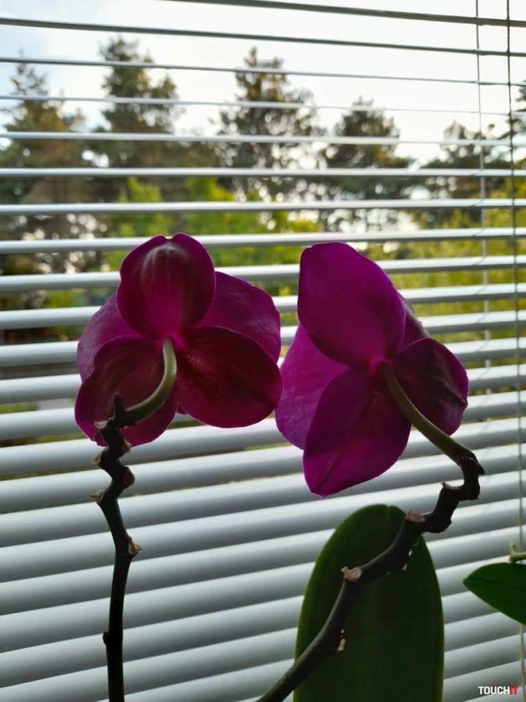 Samsung Galaxy A21s recenzia