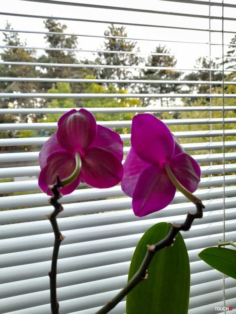 Samsung Galaxy A21s recenzia