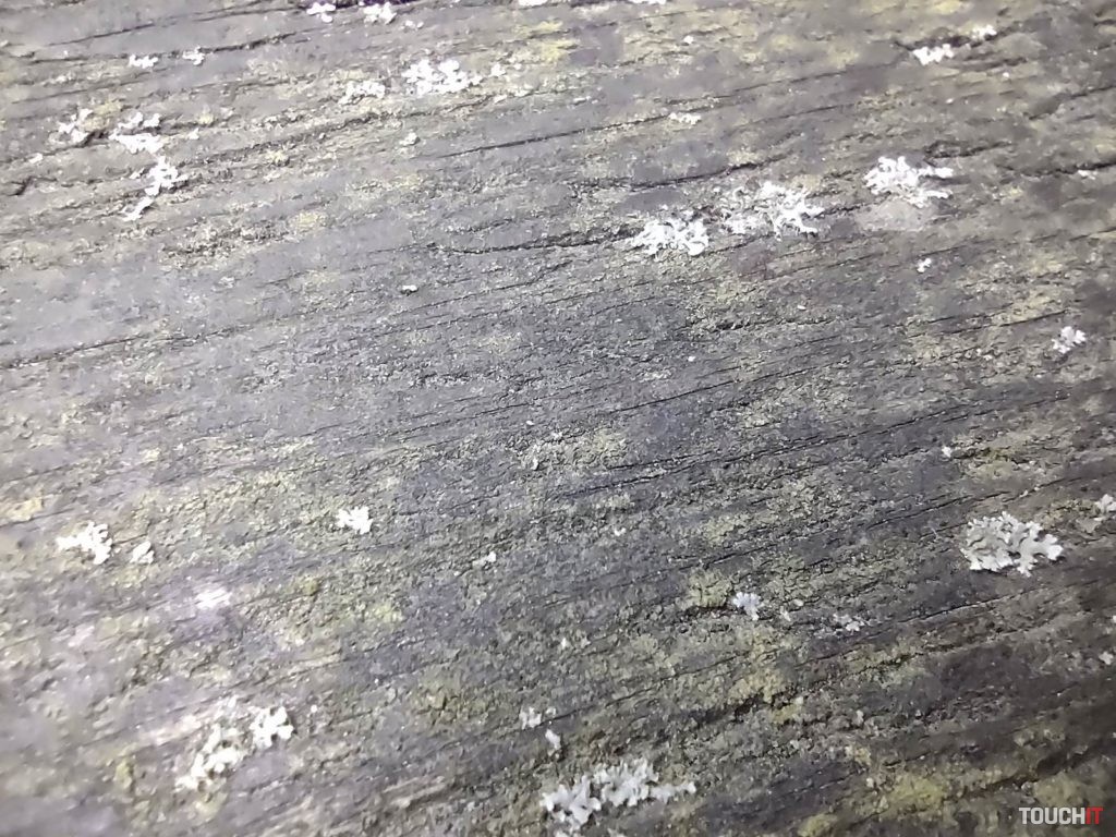 moto g9 plus test photo