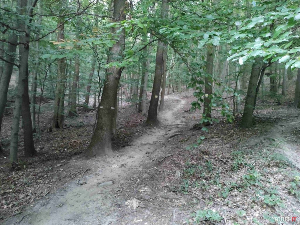 moto g9 plus test photo