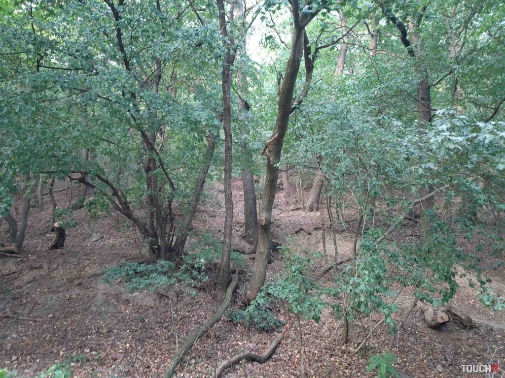 motorola razr 5G test photo