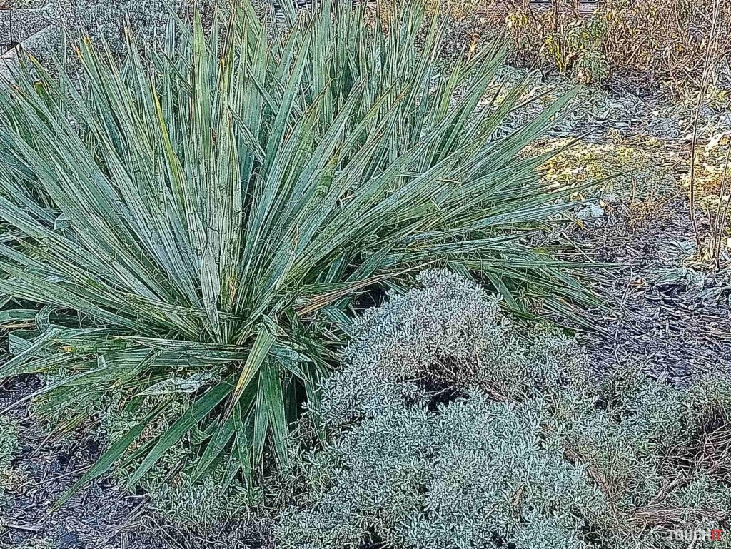 moto g9 power test photo