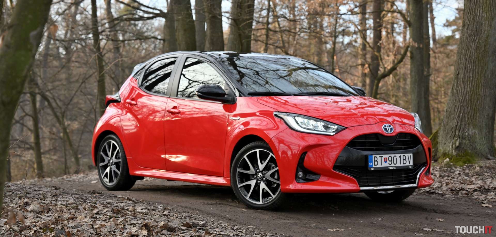 Hybridy sú v súčasnosti ideálnym typom vozidiel. Lídrom je Toyota