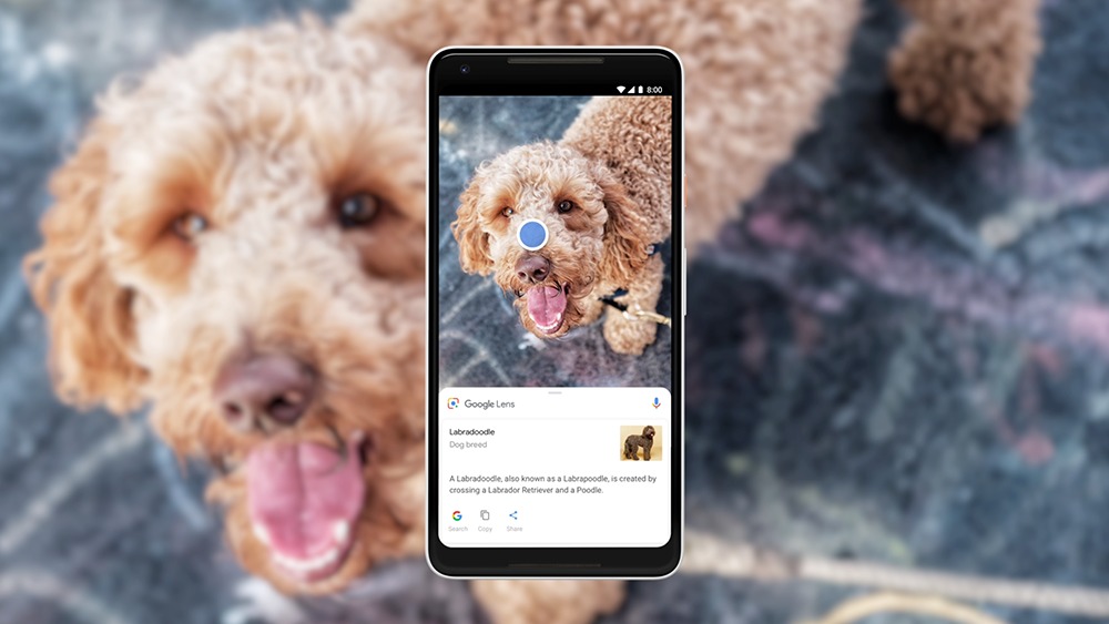 Google Lens získava jednoduchý prístup do galérie obrázkov