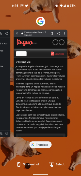 Google Lens ako prekladač