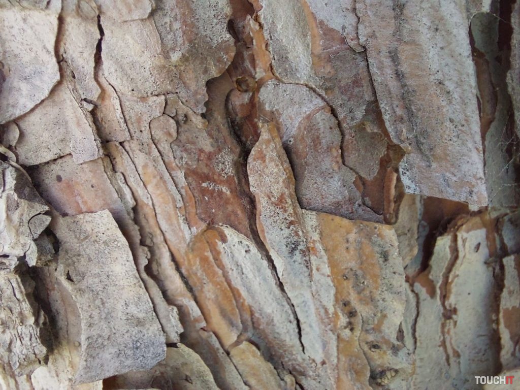 samsung galaxy A52 photo teste