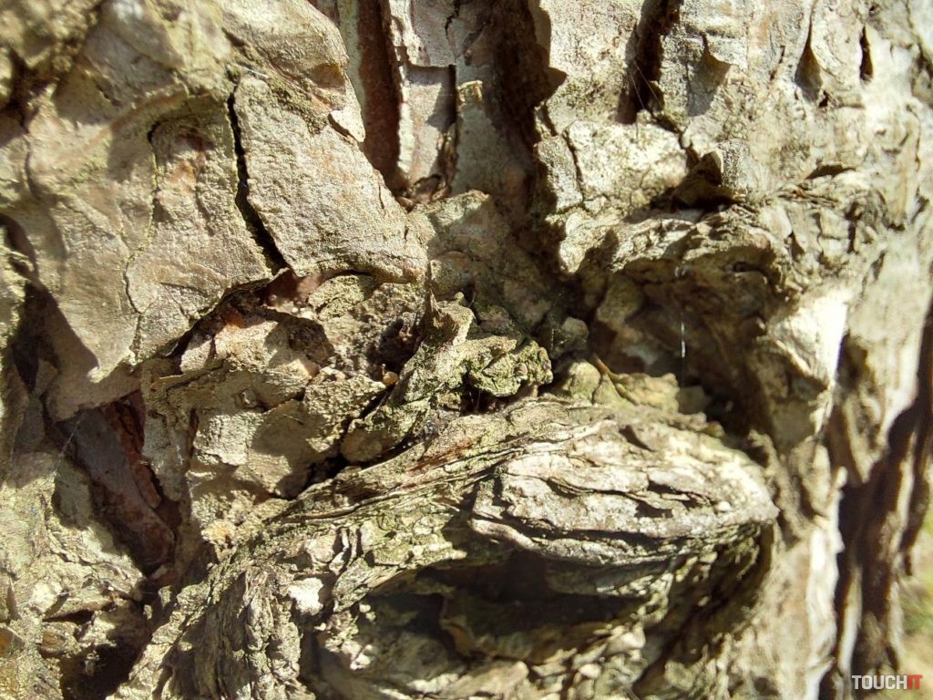 samsung galaxy A52 photo teste