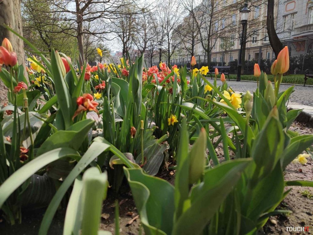 redmi note 10 Pro photo test