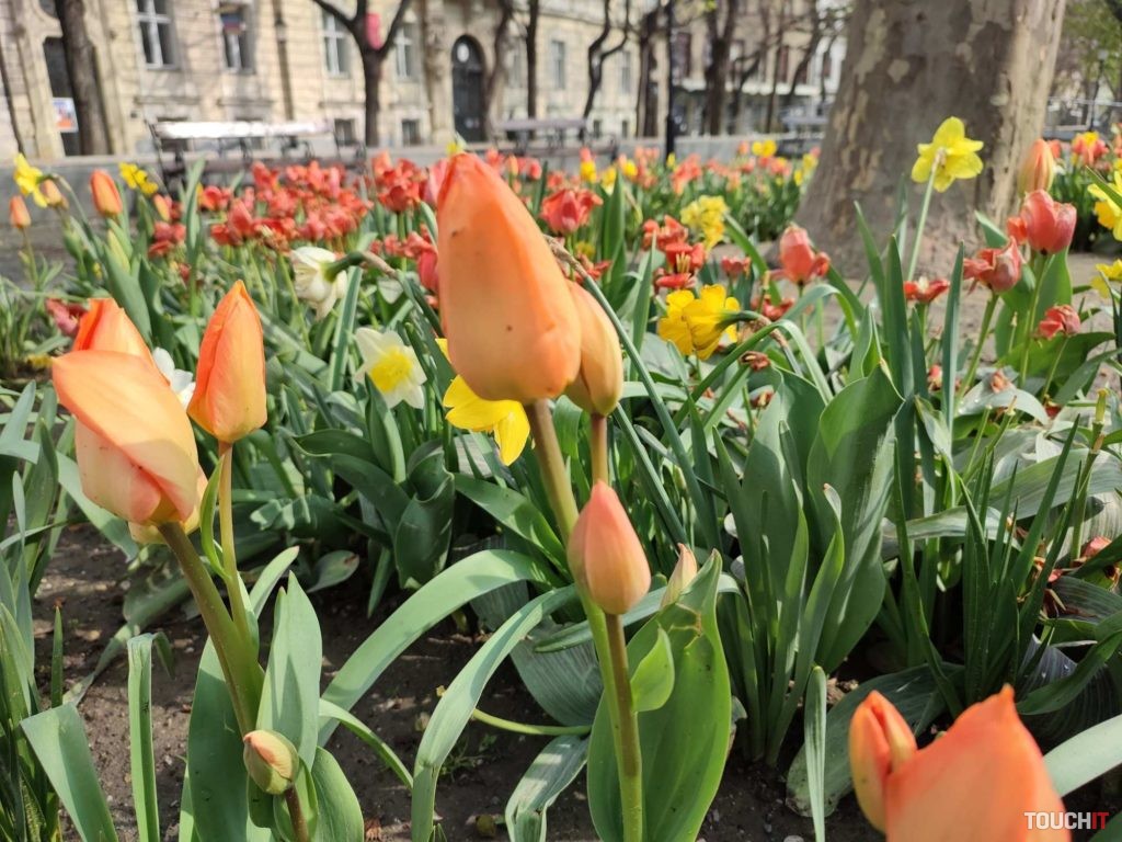 redmi note 10 Pro photo test