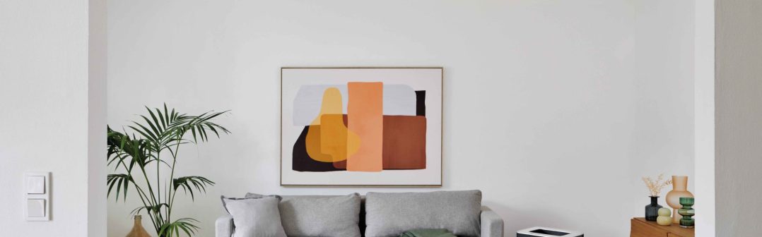 Čistička vzduchu Roger big