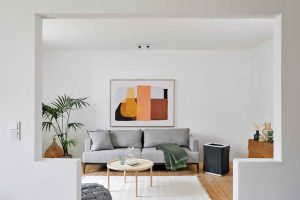 Čistička vzduchu Roger big