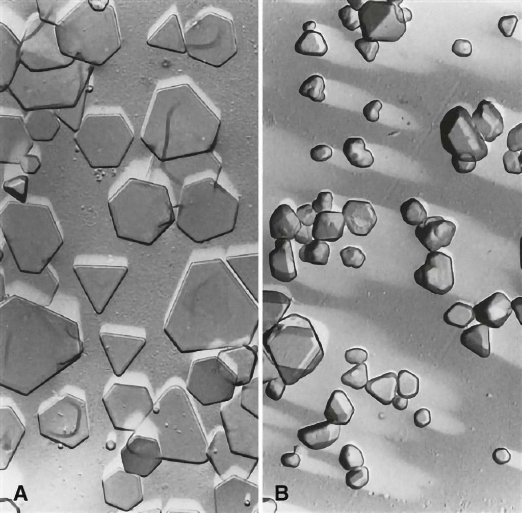 Kryštáliky halogenidov striebra na povrchu filmu, zachytené elektrónovým mikroskopom