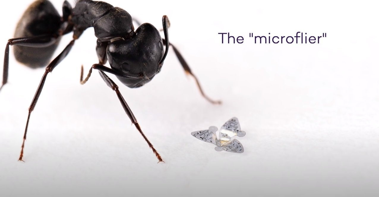 Toto je najmenšia lietajúca konštrukcia zostrojená človekom