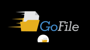 go file