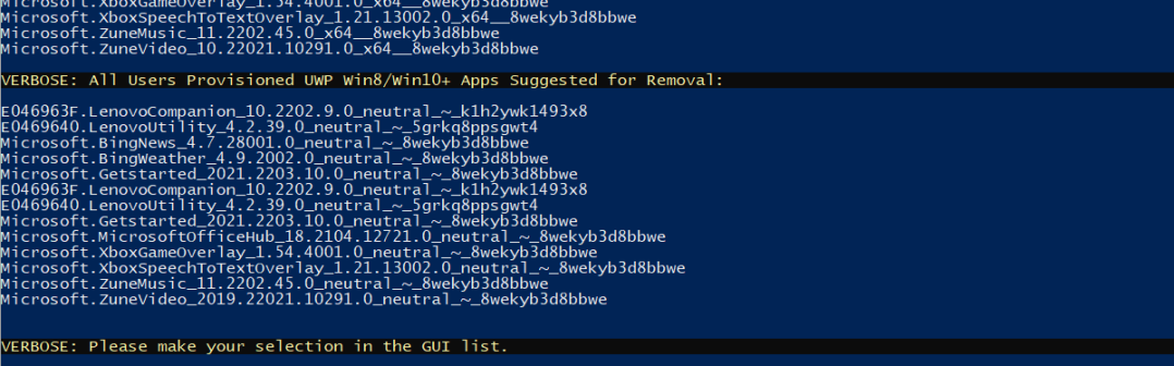 Bloatware Removal Utility console