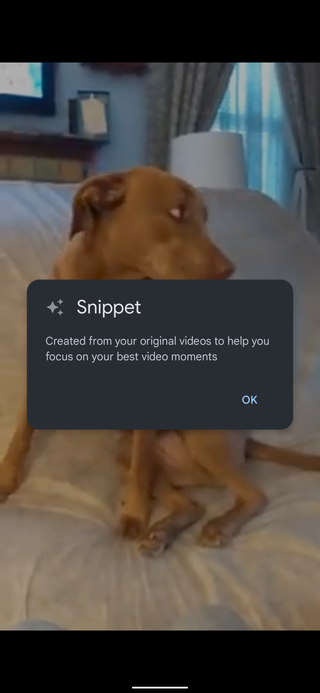 Fotky Google úryvky