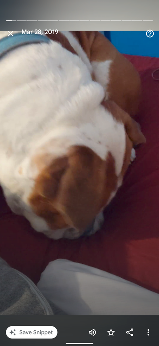 Fotky Google úryvky