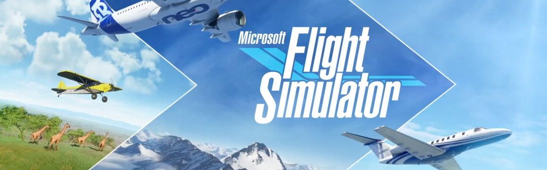 Microsoft Flight Simulator
