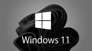 windows 11 wallpaper