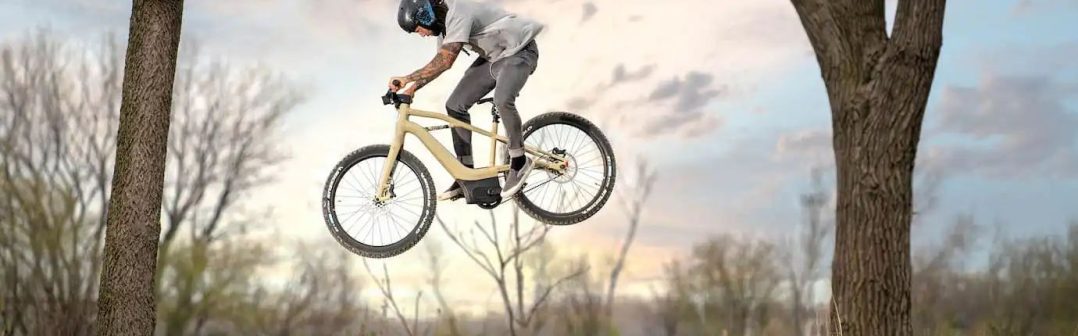 Harley-Davidson Serial 1 BASH/MTN