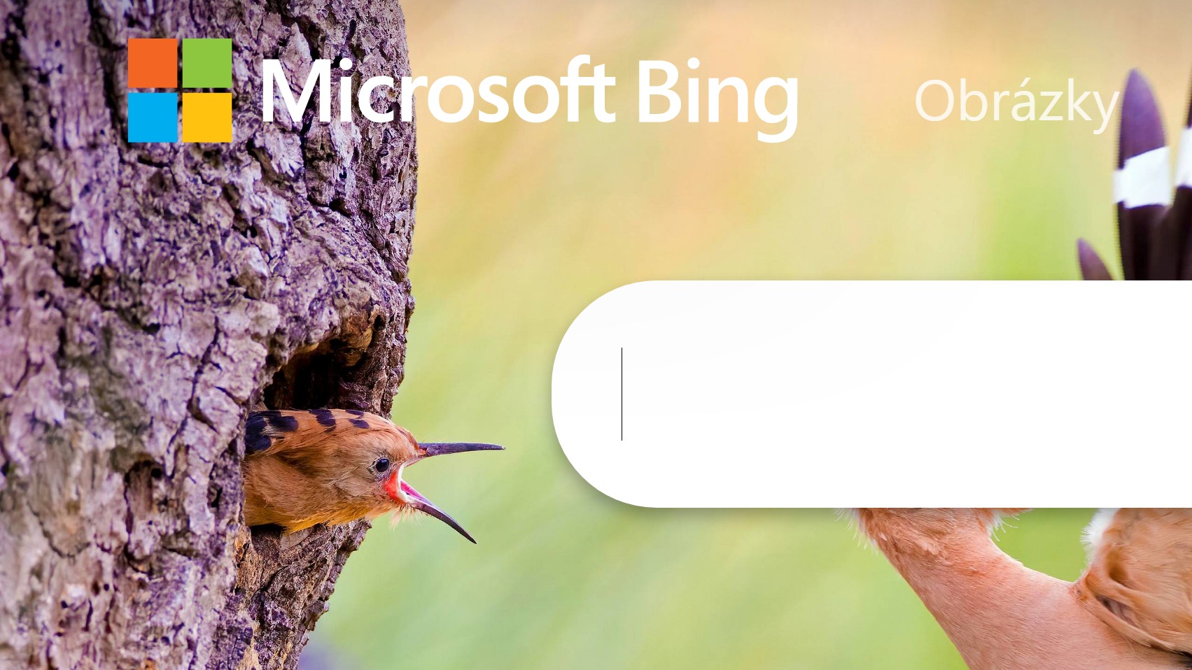 Sťahovanie filmov z internetu bude náročnejšie. Bing odstraňuje odkazy
