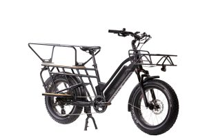 M2S Bikes All-Terrain Cargo