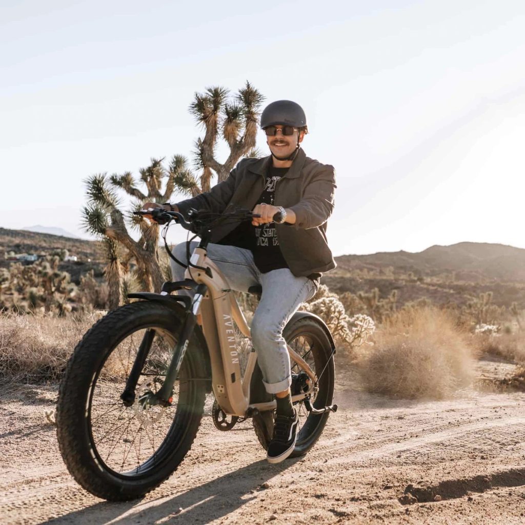 Aventon Aventure eMTB