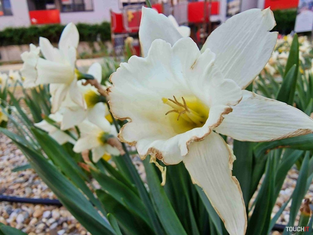 Marko s Galaxy S22 Ultra