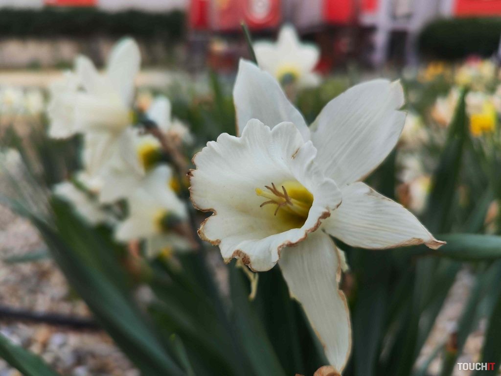 Macro s Xiaomi 12 Pro