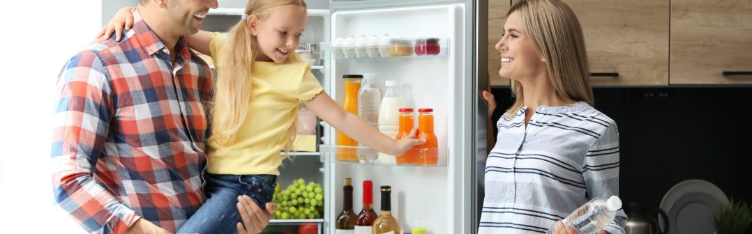 Vyberáme chladničku