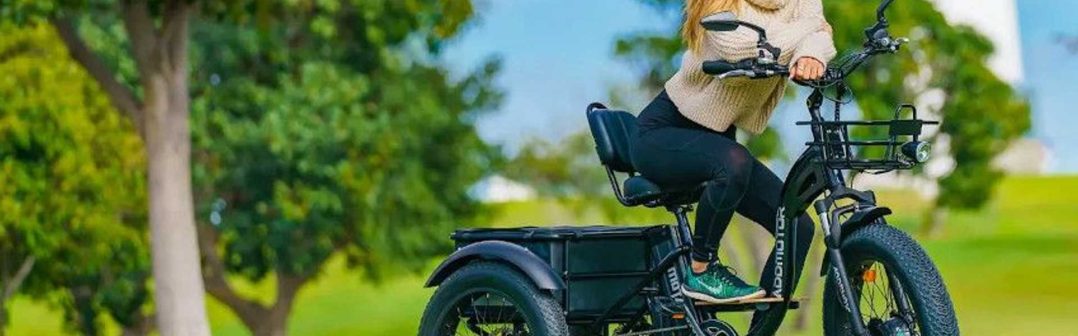 AddMotor M-340 Fat-Tire