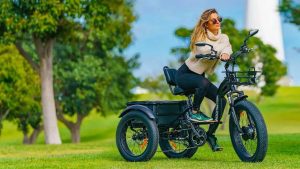 AddMotor M-340 Fat-Tire