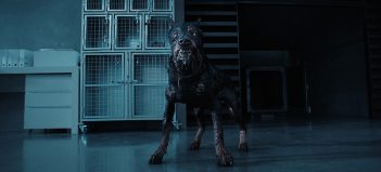 resident-evil-dog